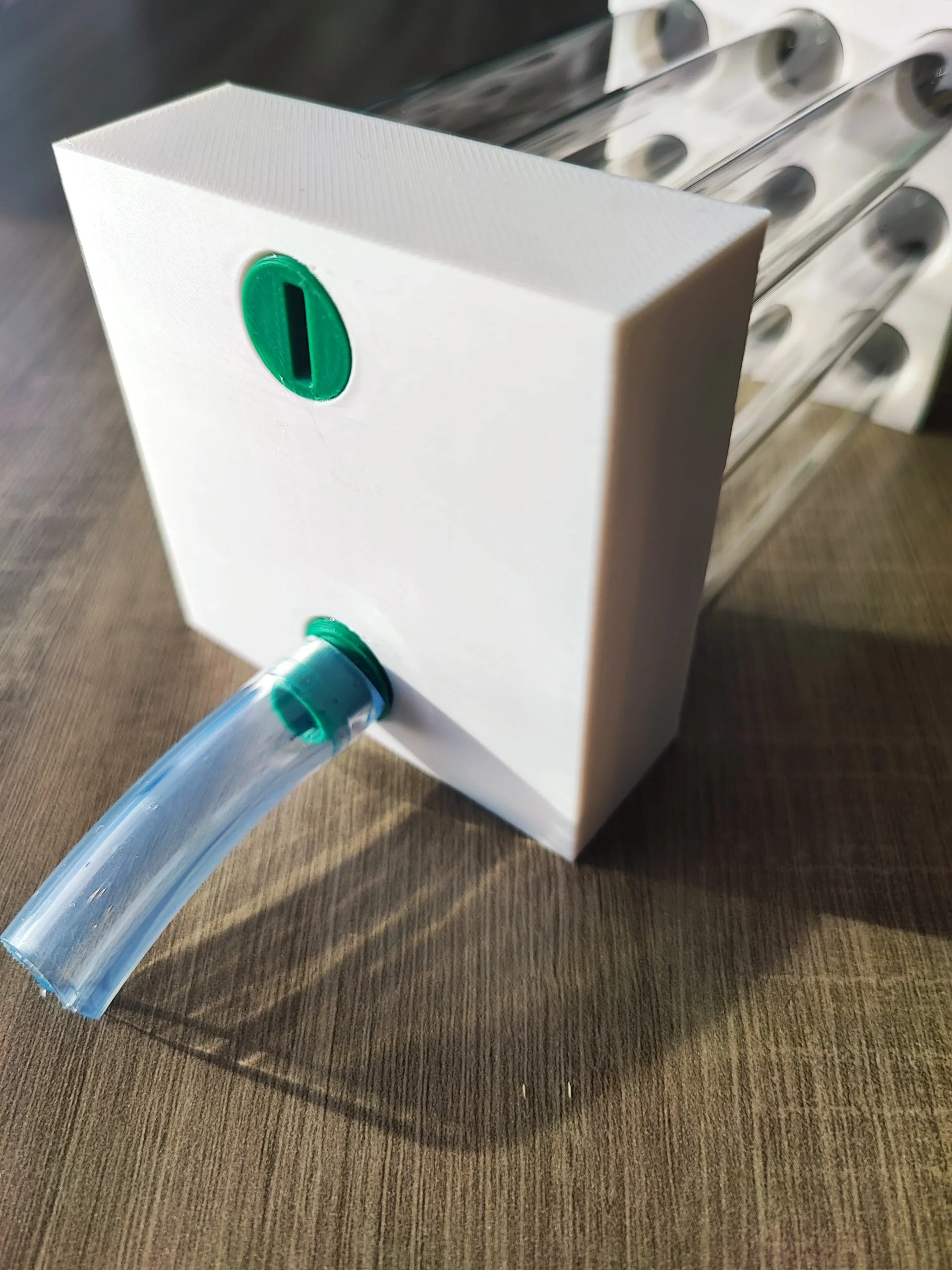 Kit de démarrage pour fourmis – Tout-en-un, prêt à installer – Image 8